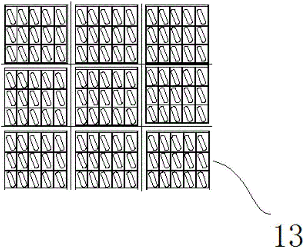 Ohmic heating unfreezing device and unfreezing method for aquatic products