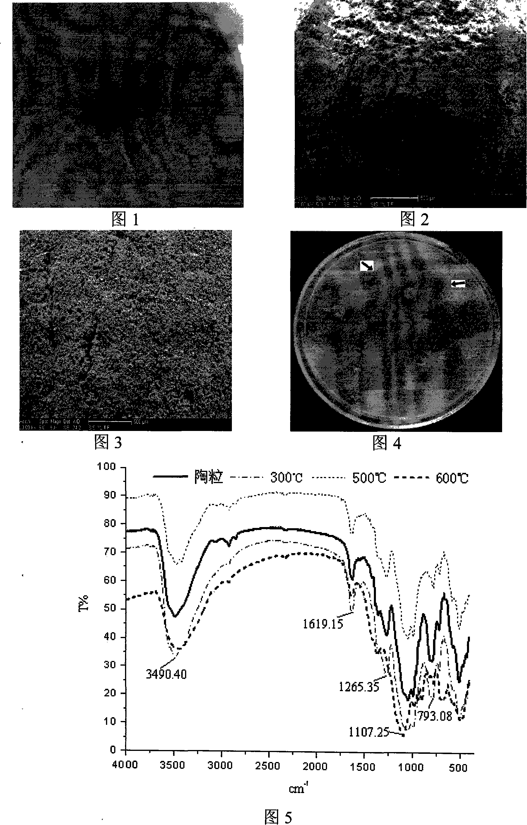 Bacterium-restraining haydite and preparation method thereof