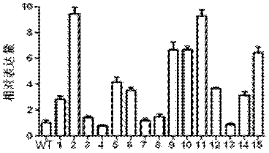 Rice stress resistance-related OsHMGB3 gene, and encoding protein and application thereof