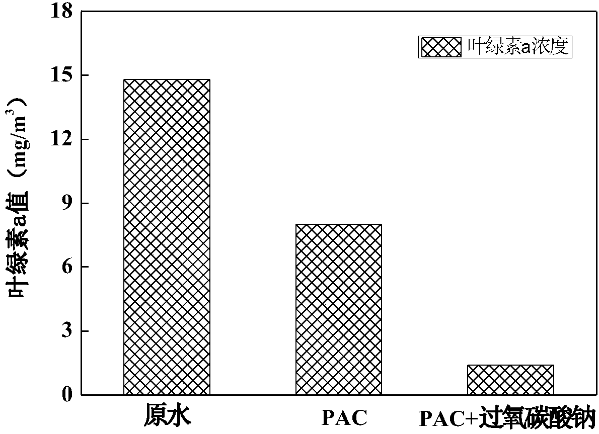 Method for removing algae through strengthening coagulation by using peroxy carbonate