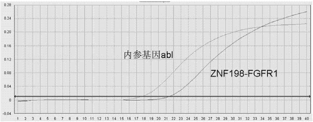 Oligonucleotide, method and kit for detecting ZNF 198-FGFR1 fusion gene in sample