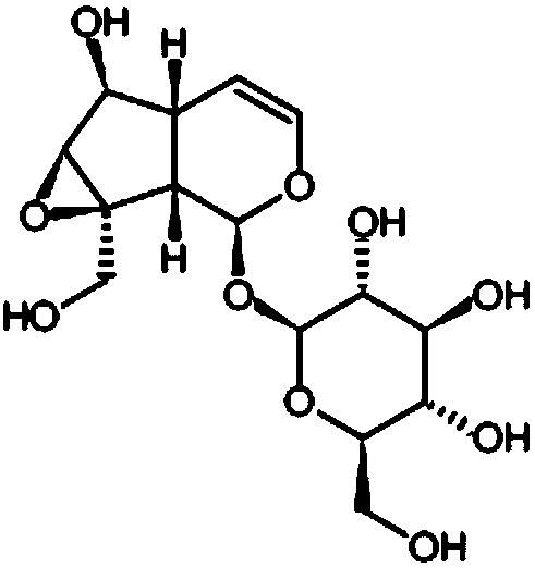 Method for extracting and separating effective components of rehmannia glutinosa Libosch and extracted catalpol and polysaccharides