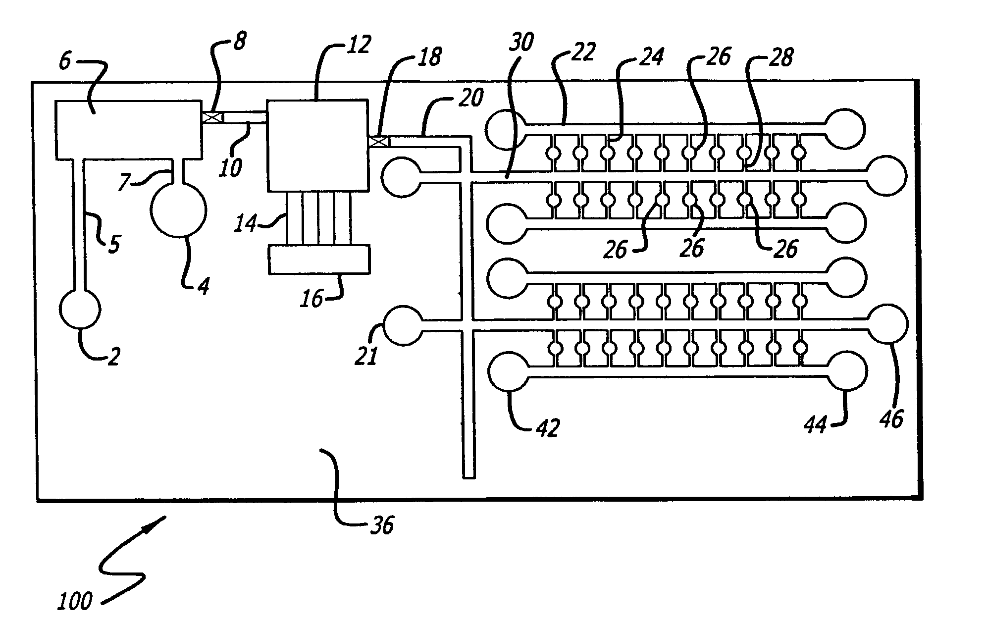 Sample preparation integrated chip