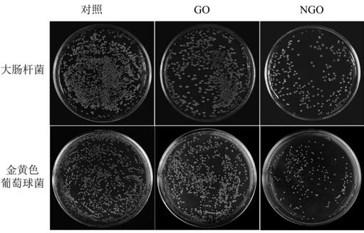 Preparation method of nitrated graphene oxide