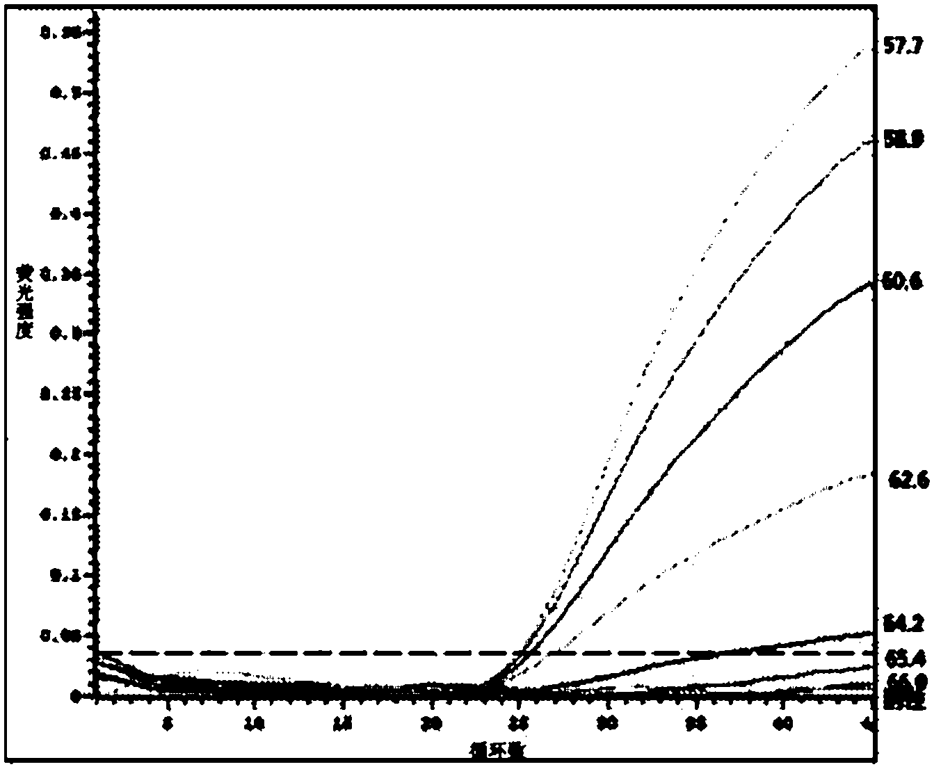 Q fever Coxiella burnetii TaqMan fluorescent quantitative PCR (polymerase chain reaction) detection method