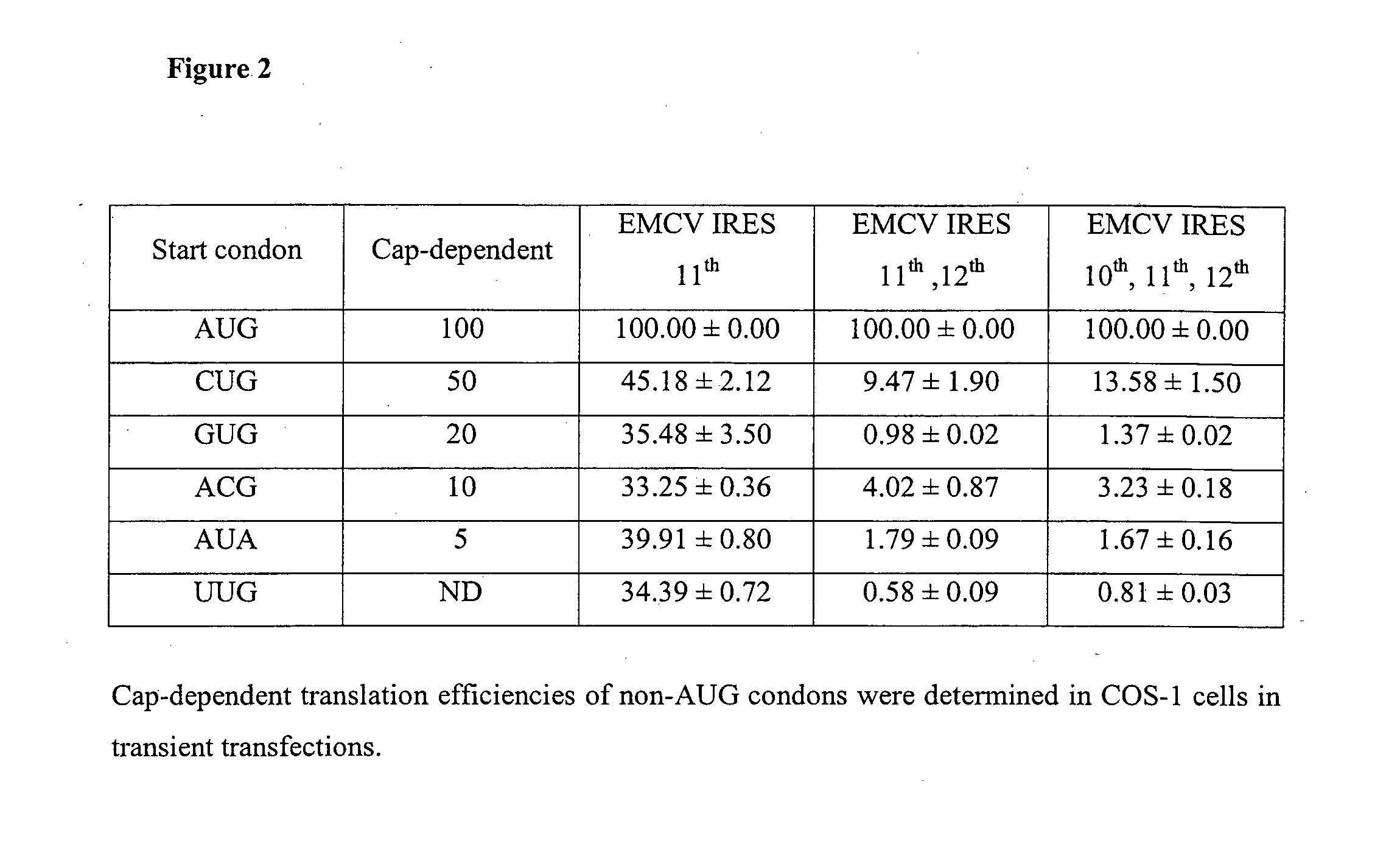 Mutated internal ribosomal entry site (IRES) for controlled gene expression