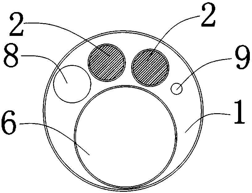 Three-dimensional foramen intervertebral lens