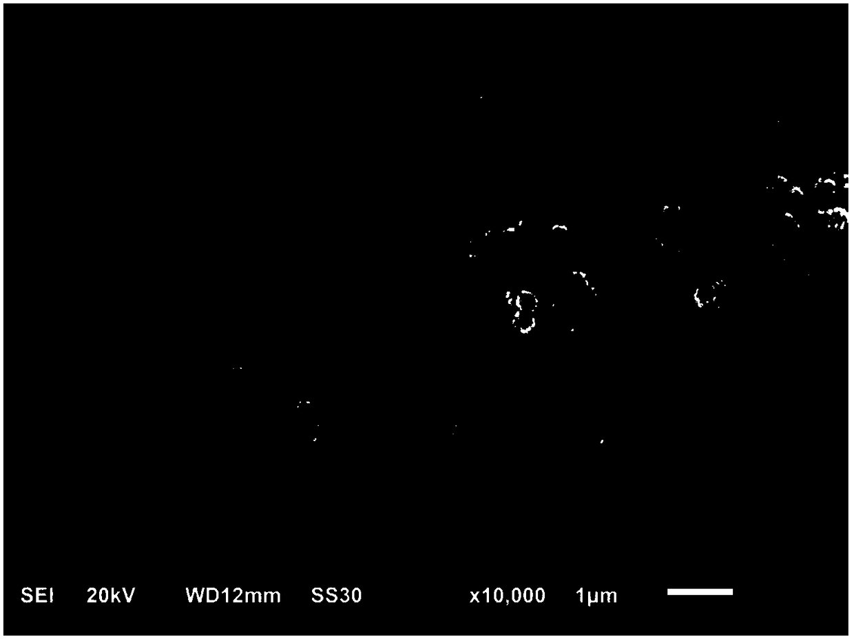 A kind of poly(styrene-methacrylic acid)-polyaniline-nanometer silver composite microsphere and preparation method thereof