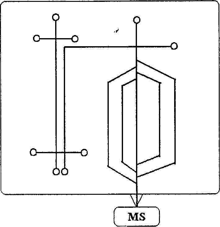 Microflow control chip for protein analysis and its application in protein analysis