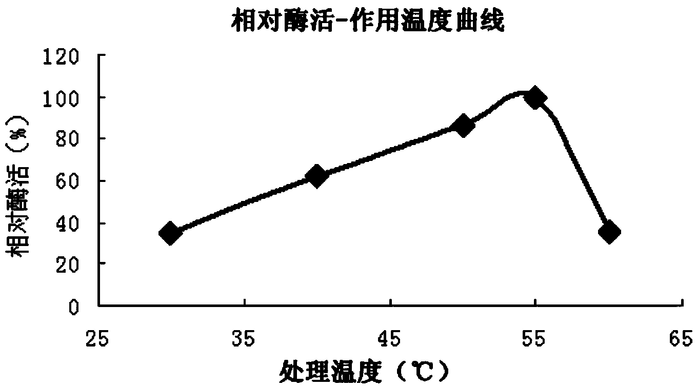 Phytase and application thereof