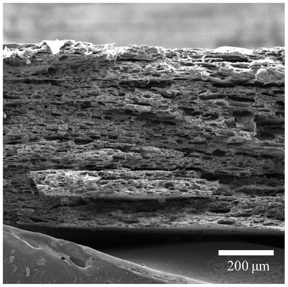 A kind of hydrophobic heat insulation cooling film and preparation method thereof