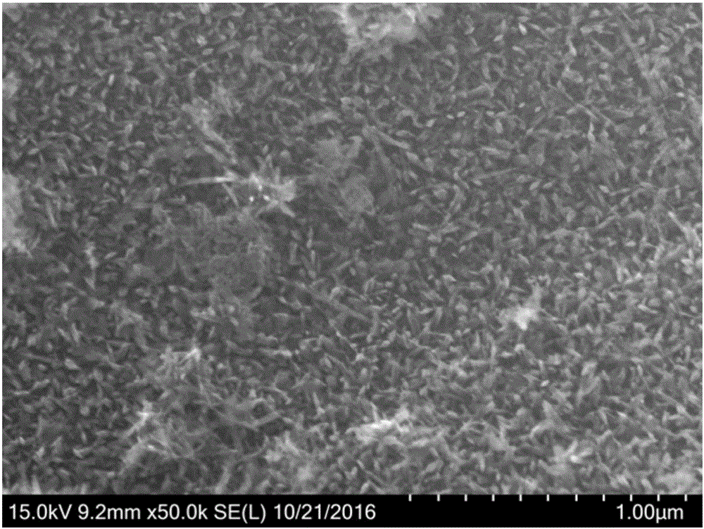 Iron-based catalyst for co-liquefaction of kerosene