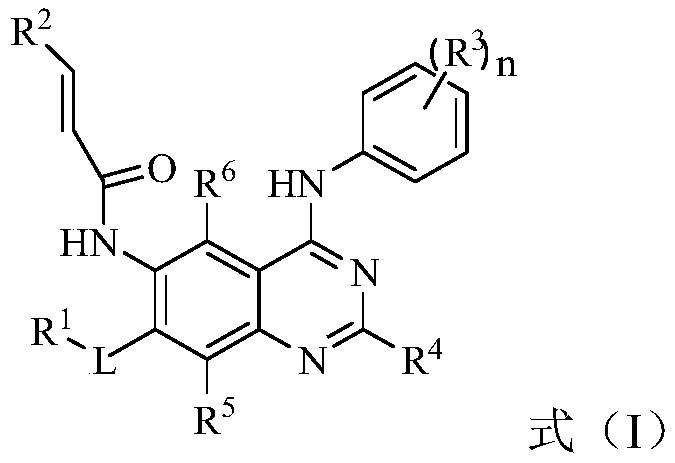 Novel application of quinazoline derivative type tyrosine kinase inhibitor