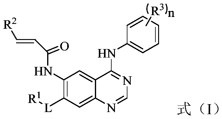 Novel application of quinazoline derivative type tyrosine kinase inhibitor