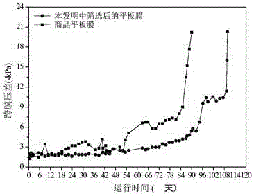 Nano-sized high-flux PVDF (polyvinylidene fluoride) plate ultrafiltration membrane as well as screening method and preparation method thereof