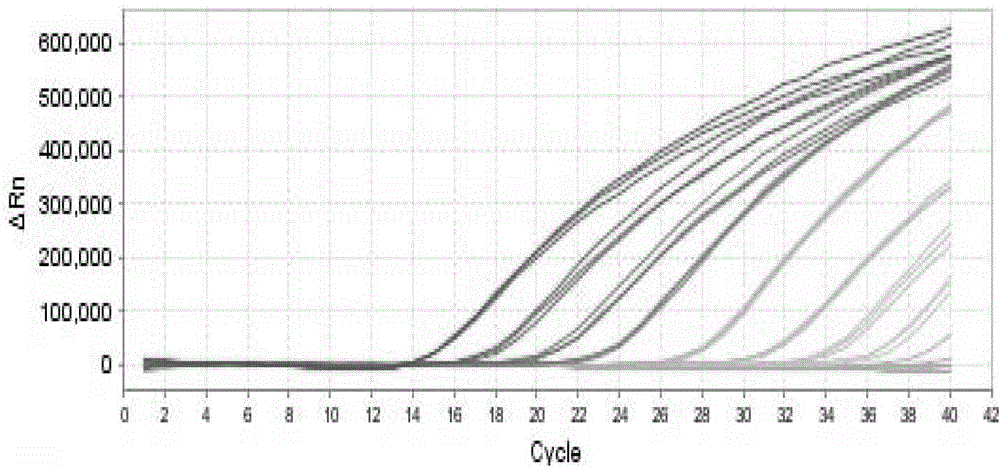 Swine-derived eperythrozoon detecion kit, method and applications