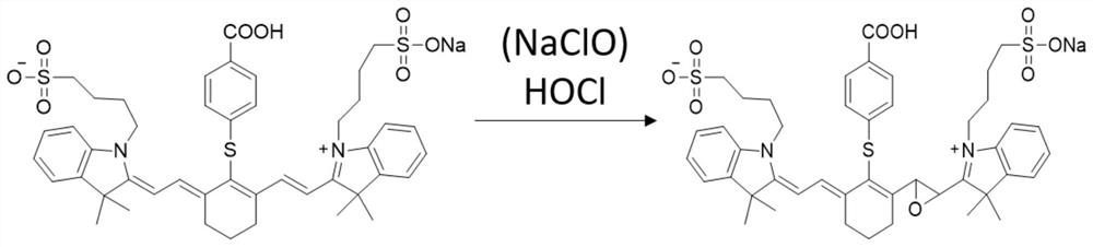 Intracellular detection method based on double-excitation ratio type up-conversion fluorescence probe