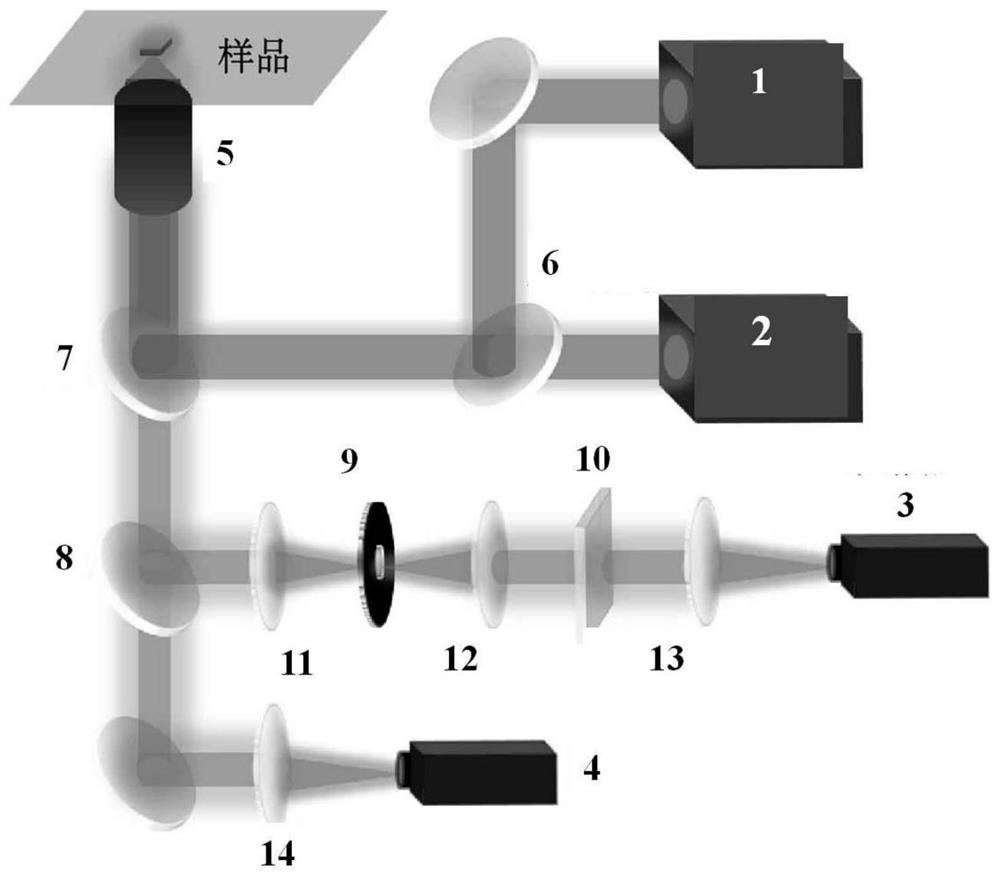 Intracellular detection method based on double-excitation ratio type up-conversion fluorescence probe