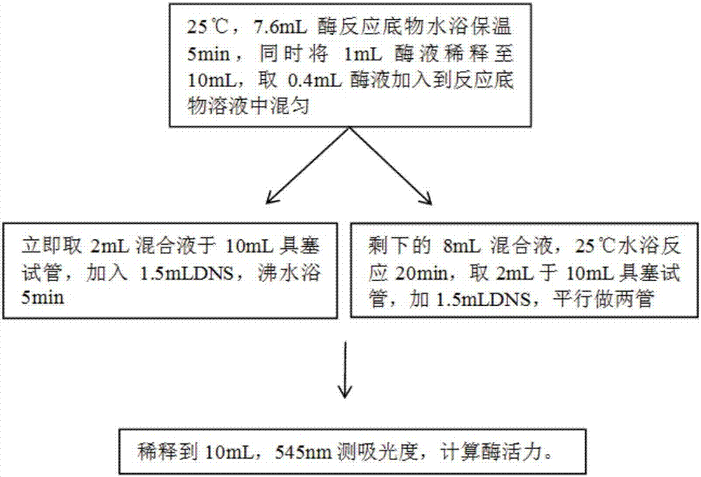 Sunscreen skin care product additive, sunscreen skin care product and preparation method of sunscreen skin care product