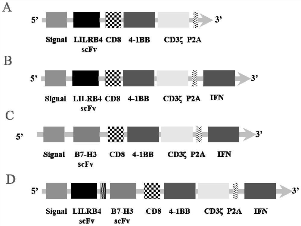 A kind of lilrb4 and b7-h3 dual targeting chimeric antigen receptor and its application