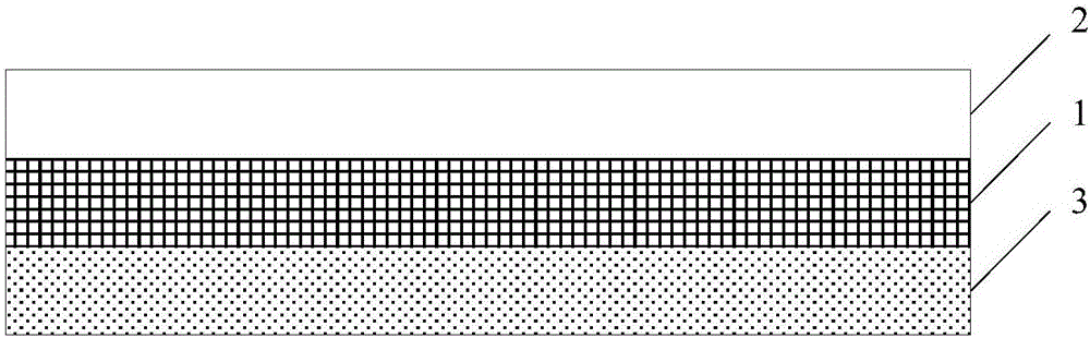 Display device and display method