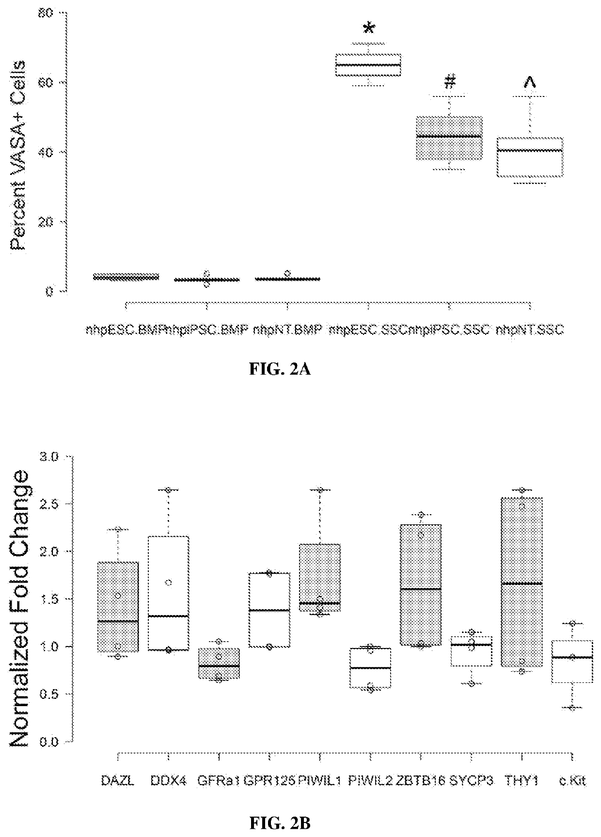 Compositions and methods for improving embryo development