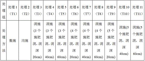 Horticultural tree full-plow-layer stereo fertilization method