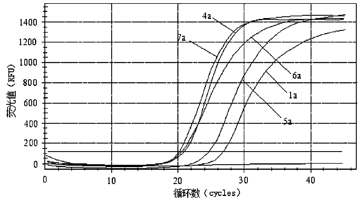 Primers, probe and kit for detecting JCV (JC virus)