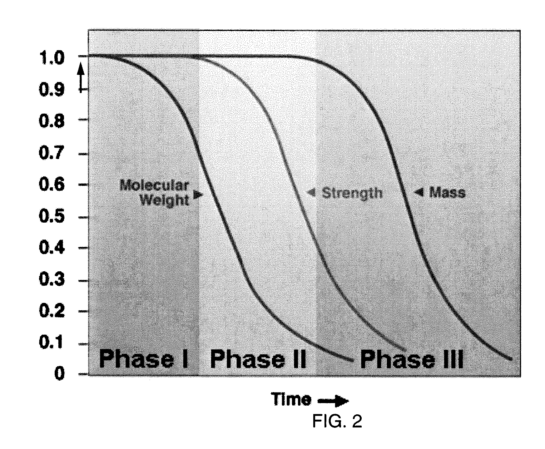 Bioabsorbable Scaffold With Particles Providing Delayed Acceleration of Degradation