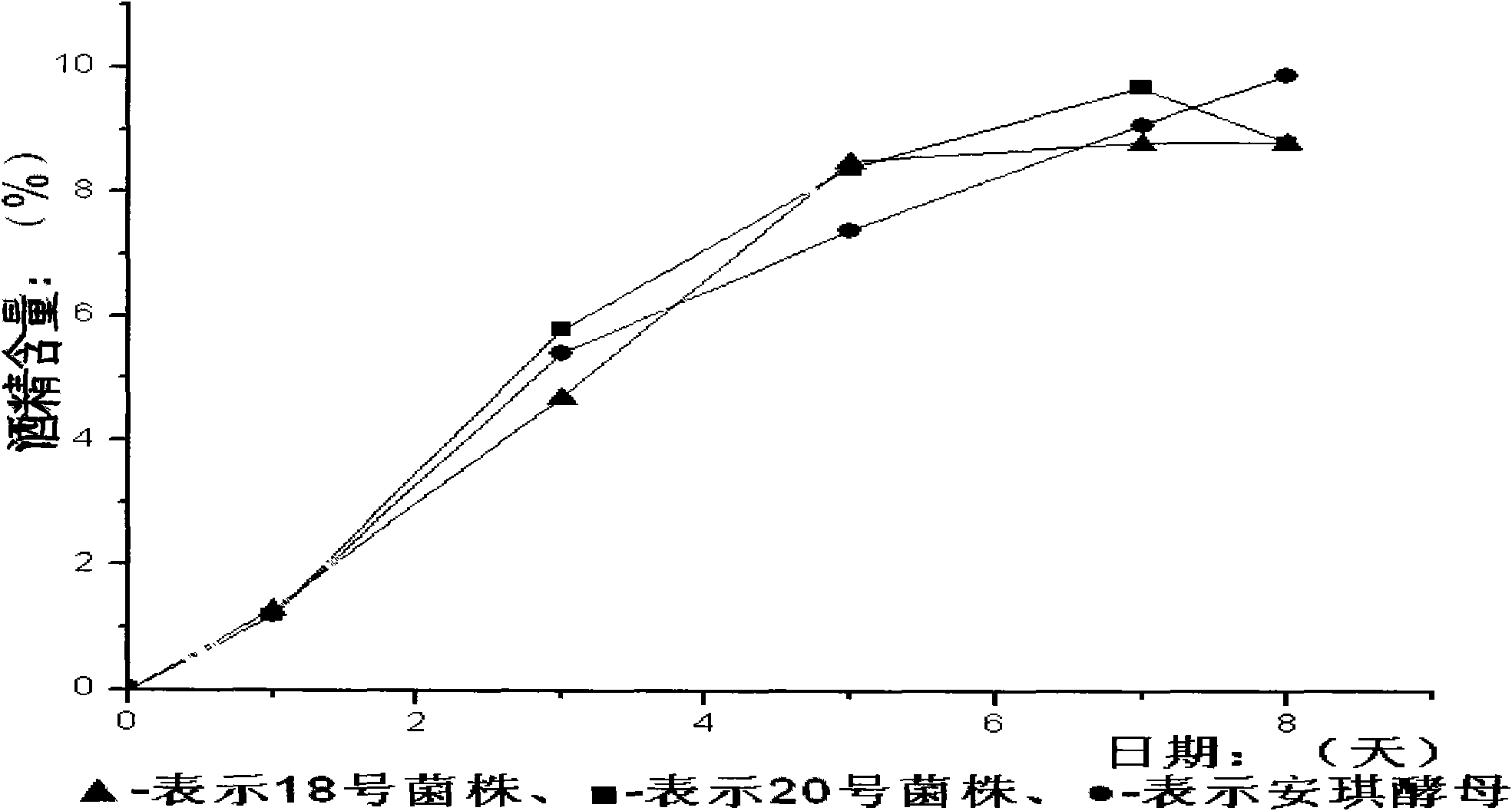 Saccharomyces cerevisiae for brewing pomegranate fruit wine and pomegranate wine prepared by fermentation