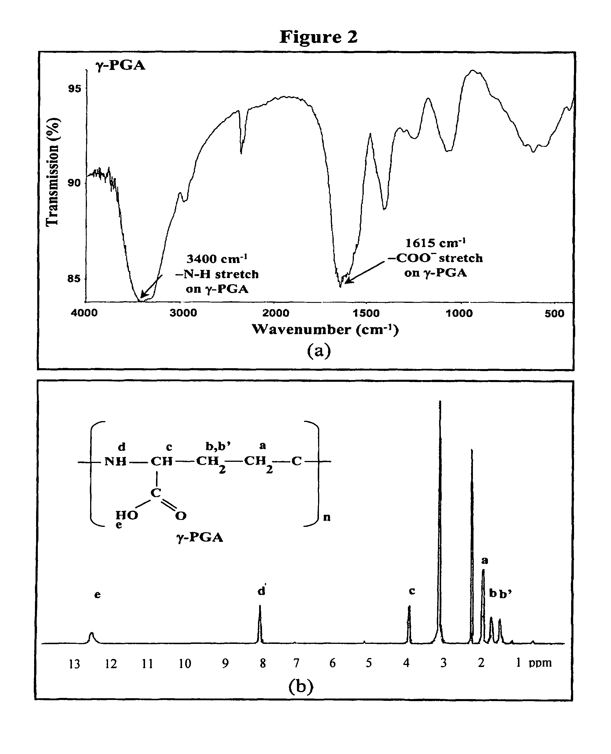 Nanoparticles for protein drug delivery