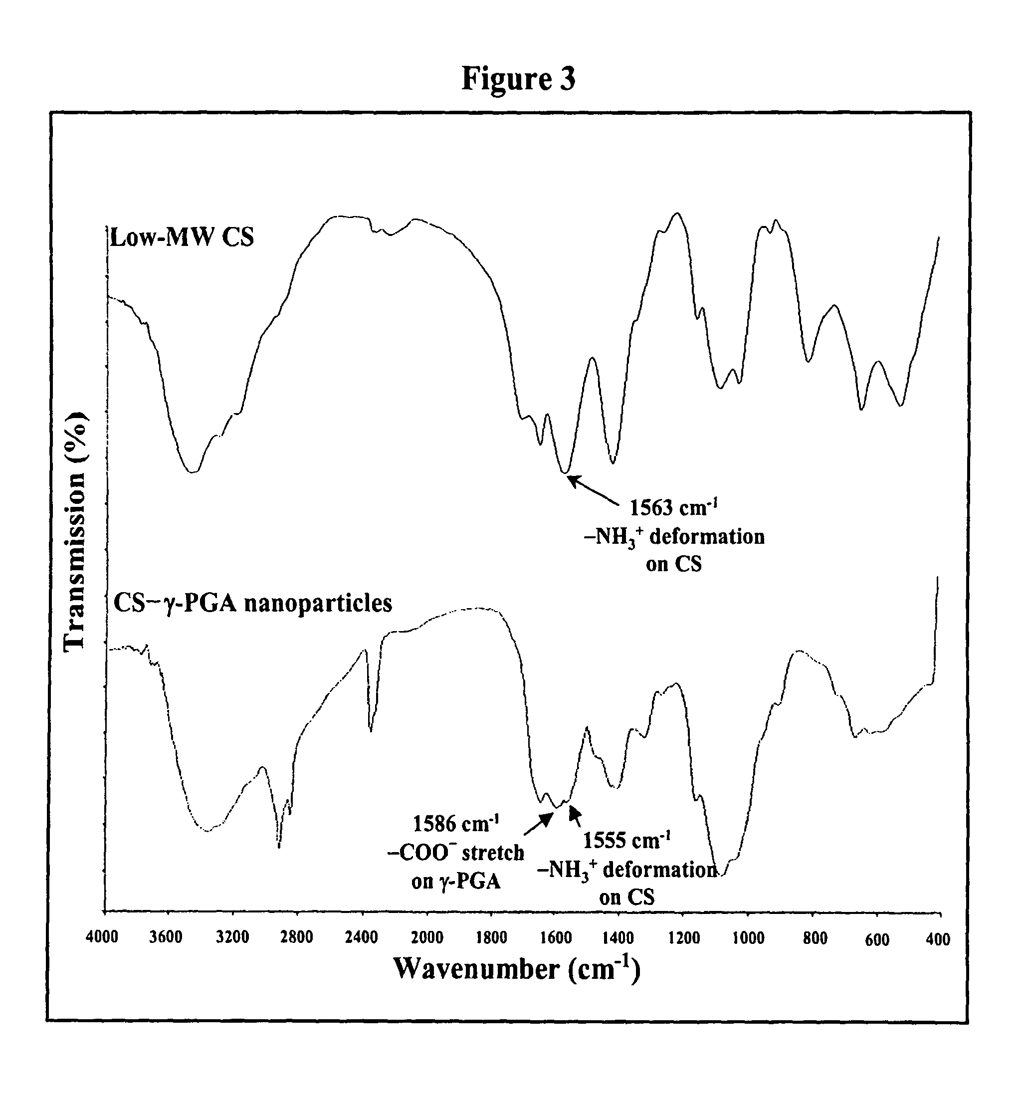 Nanoparticles for protein drug delivery