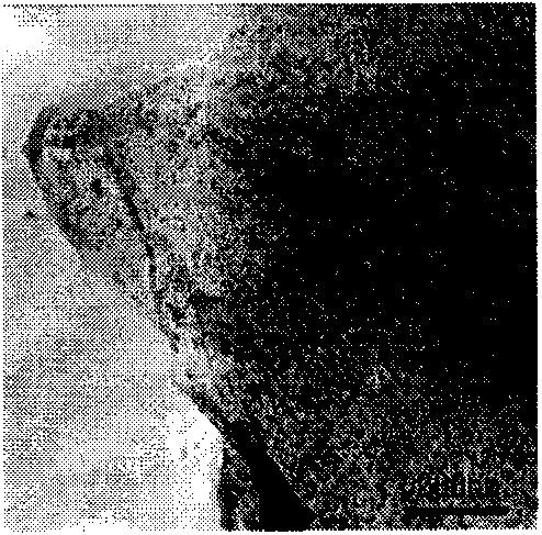 Preparation method of high-dispersion lamellar nanometer ceric oxide/graphene composite material