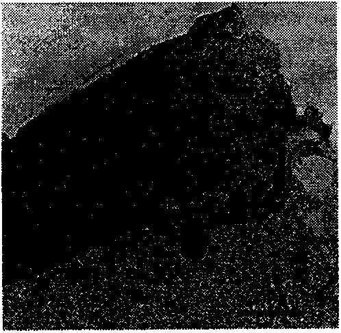 Preparation method of high-dispersion lamellar nanometer ceric oxide/graphene composite material