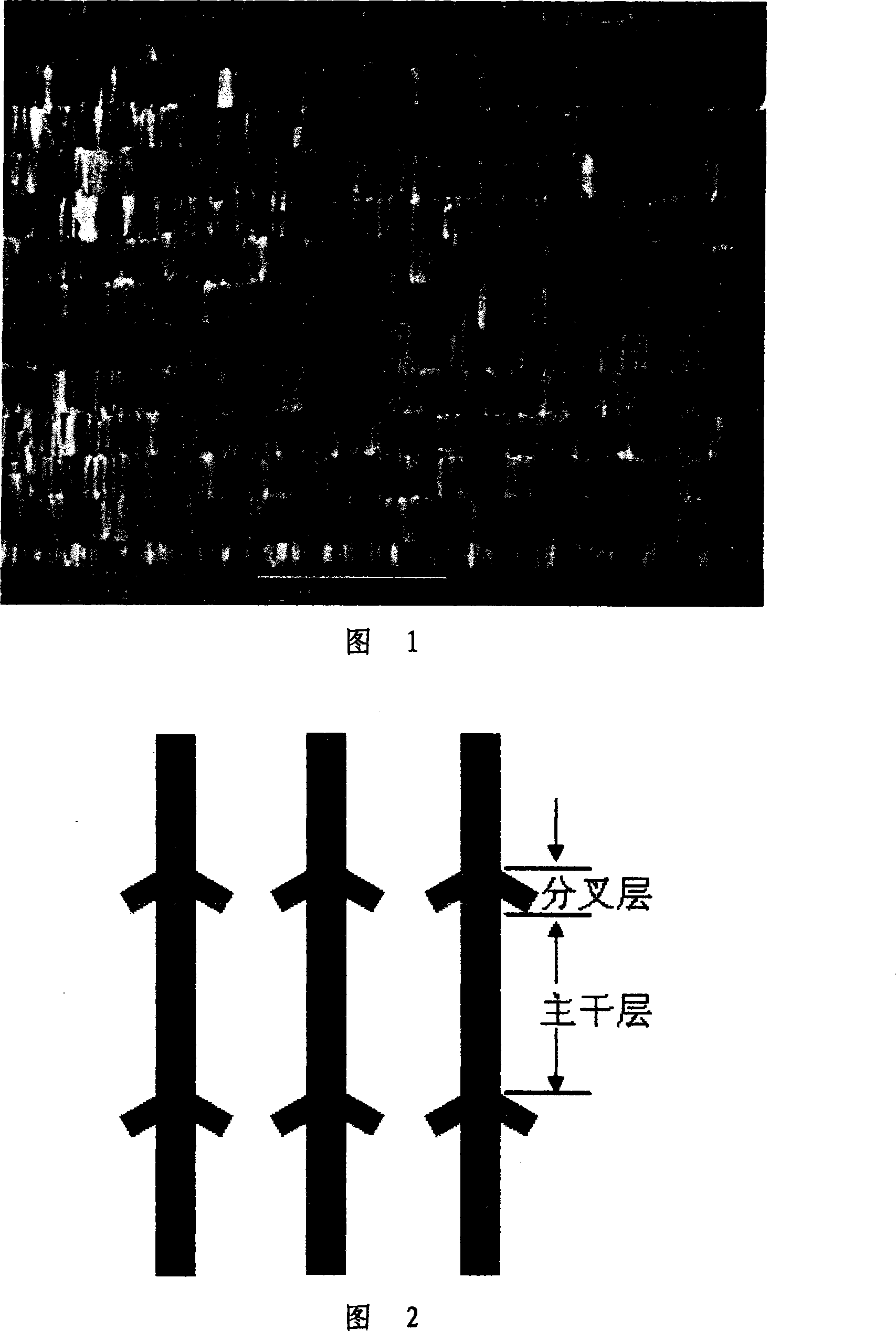 Porous aluminum oxide film light filter with bifurcate holes and preparation method thereof