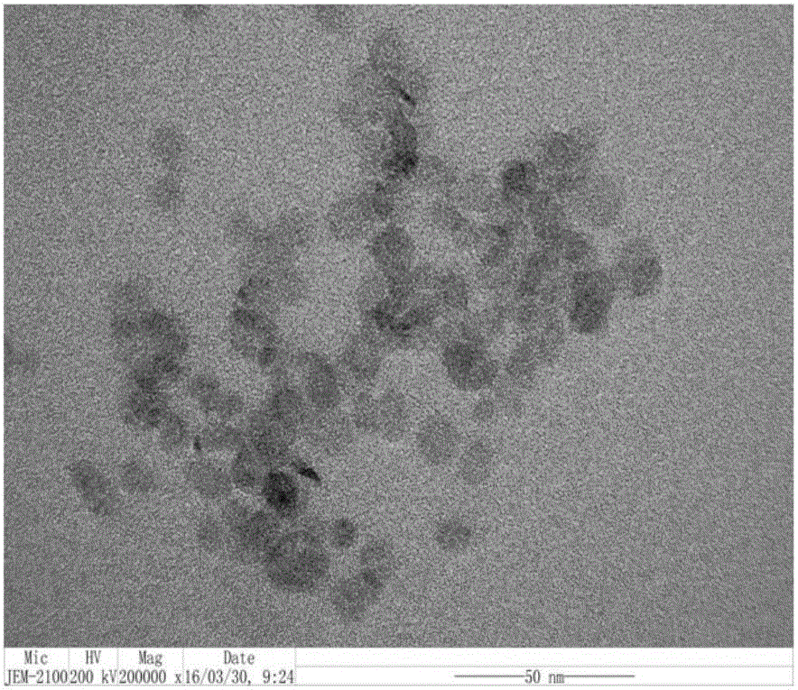 Phosphorus-doped fluorescent carbon point with high fluorescent quantum yield as well as preparation method and application thereof