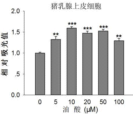 Application of oleic acid in animal mammary gland development promotion