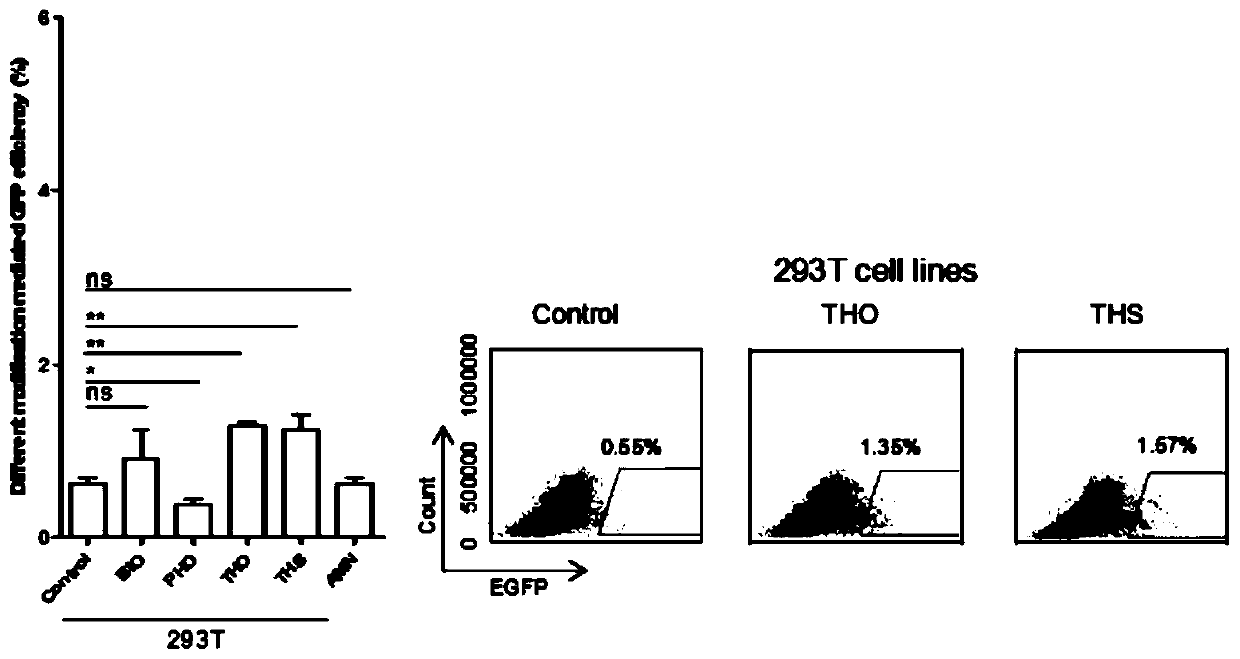 Method for improving site-specific modification efficiency of cellular genome by utilizing modified ssODN