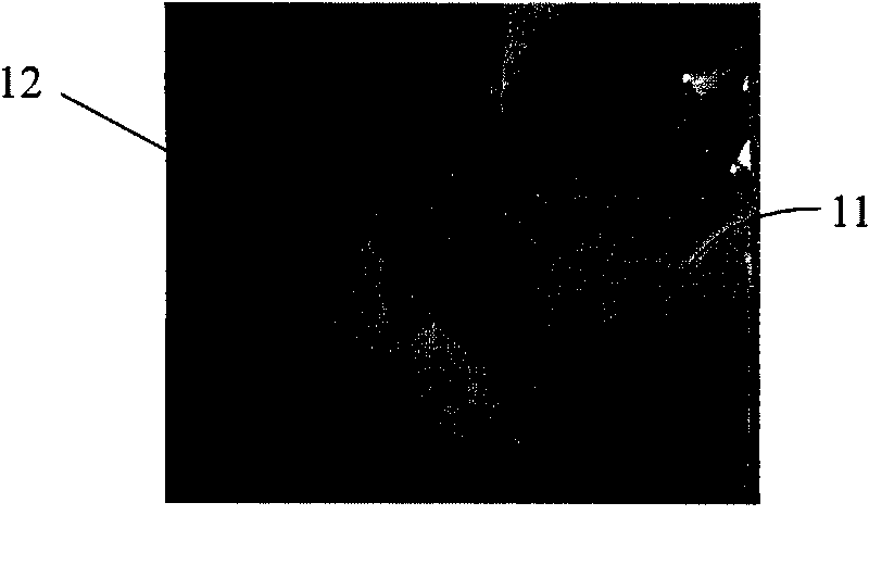 Compound isolating film and formation method thereof