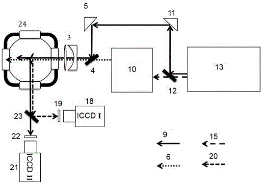 Apparatus capable of simultaneously measuring diesel spray structure and combustion characteristic and method thereof