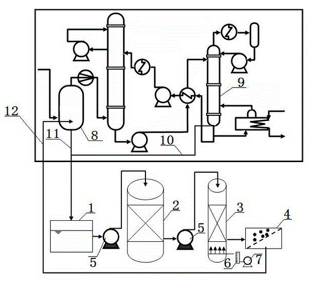 Synergistic biological treatment method for washing waste water and amine salt waste liquor produced by capturing CO2 in smoke of coal-fired power plant