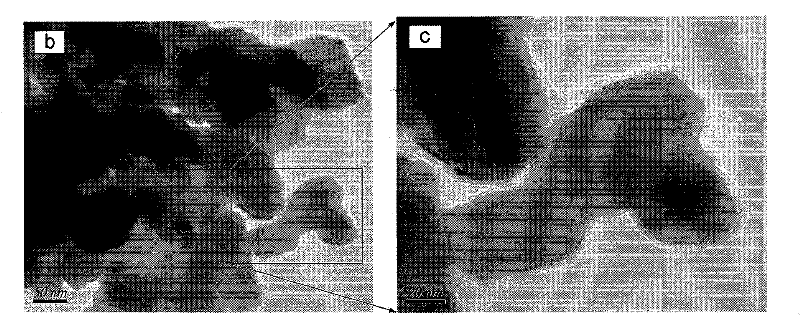 Preparation method of tungsten diselenide nano-clathrate