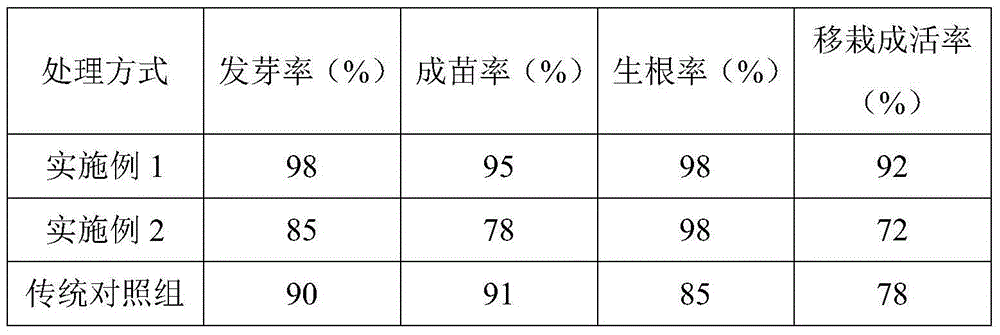 Nutrient soil suitable for cultivation of non-woven seedlings of carya illinoensis and preparation method of nutrient soil