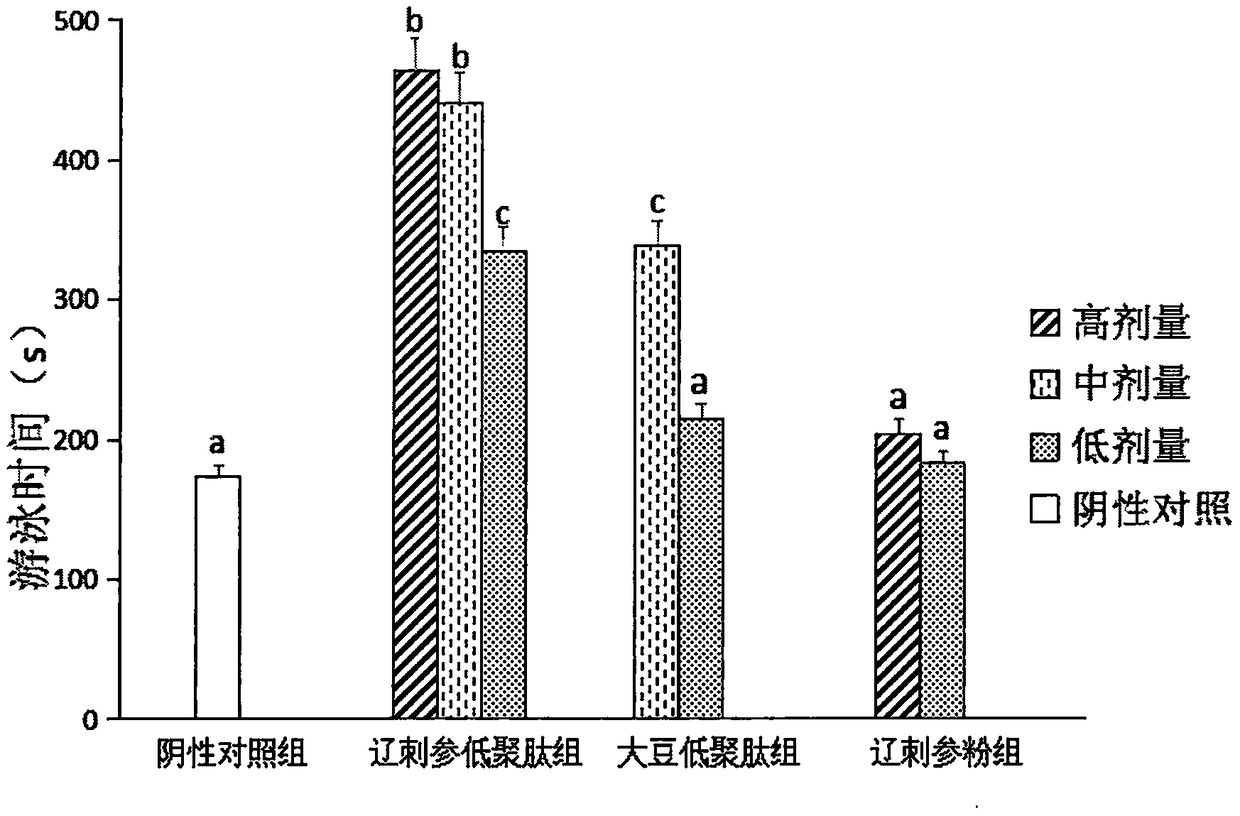 Method for researching anti-fatigue action of oligopeptides of Apostichopus japonicus Liao on mice