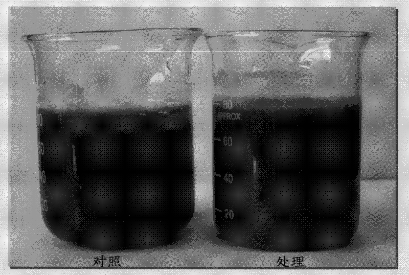 Aerobic and facultative anaerobic microbial activated bactericide for water treatment and application thereof in contact oxidation process