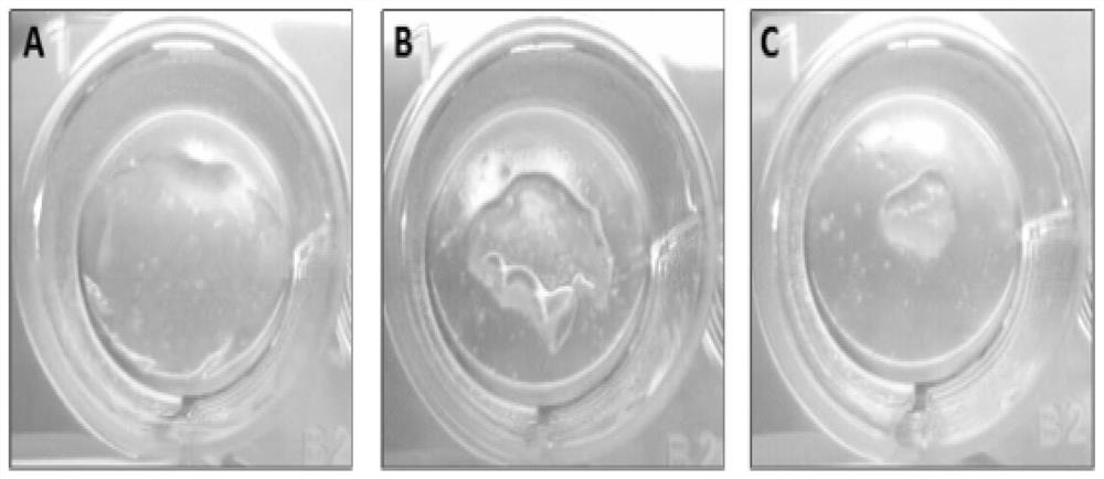 A soft tissue construction method and application of synovial mesenchymal stem cells