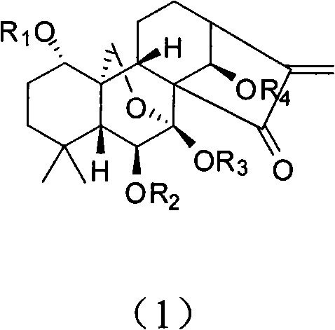 Water soluble oridonin derivative and preparation method thereof