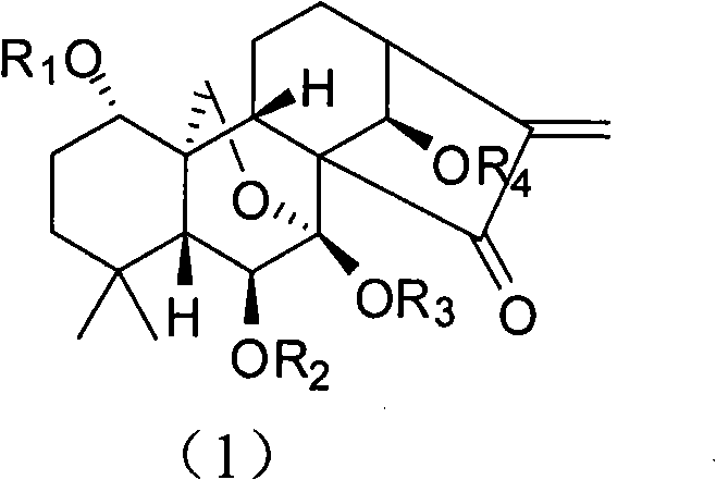 Water soluble oridonin derivative and preparation method thereof