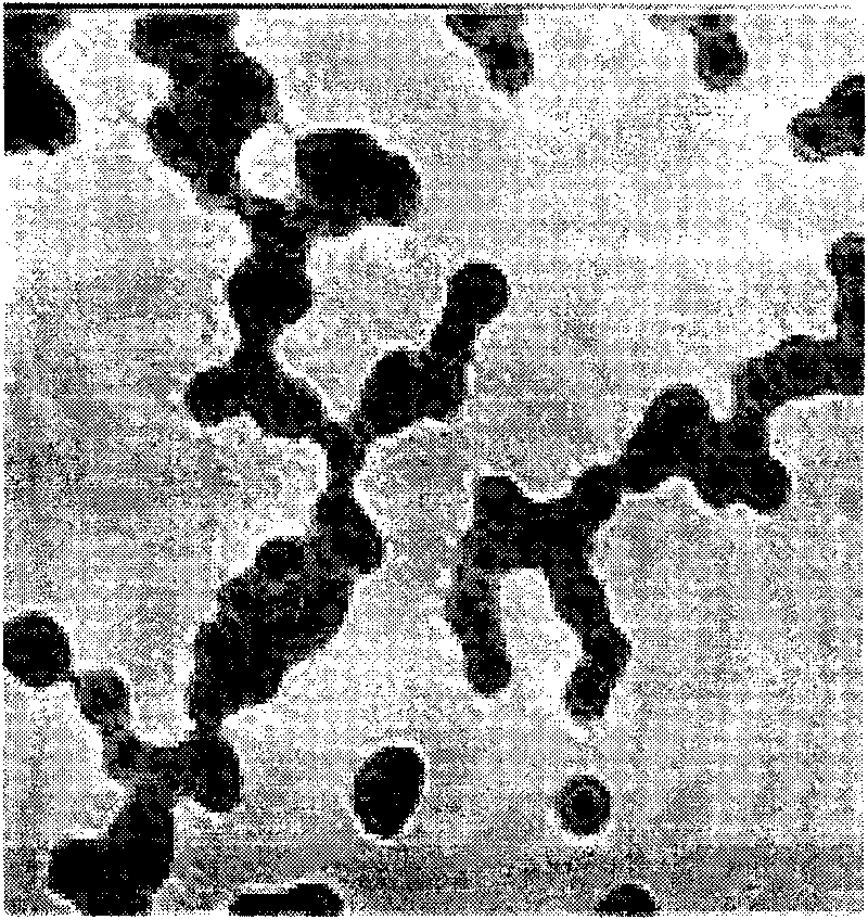 Method for preparing silicon dioxide magnetic composite microballoon with core-shell structure