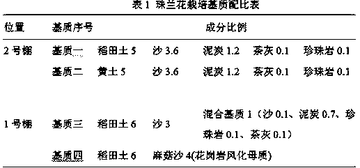 A kind of pearl orchid planting method